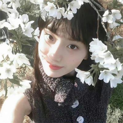 灵数23