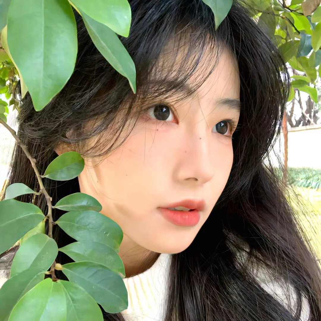 吸血美女